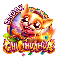 Facai - CHILIHUAHUA - DEMO MBS