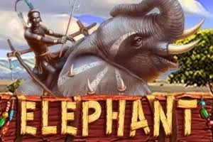 ELEPHANT - MBS