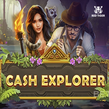 Redtiger - Cash Explorer - DEMO MBS