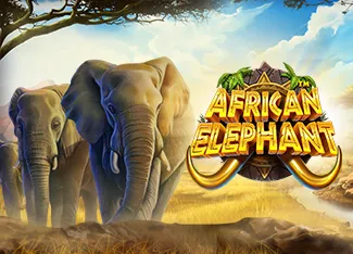 Pragmatic - African Elephant - DEMO MBS
